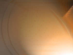 宠物粮选购指南：从成分到品牌的全解析