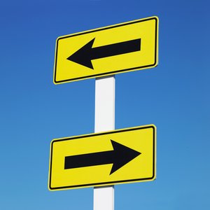 宠物粮选购指南：从成分到品牌的全解析